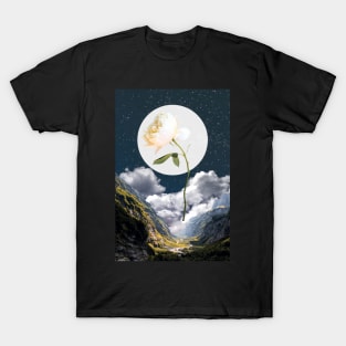 Rose Valley T-Shirt